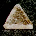 スピネル双晶のダイヤモンド