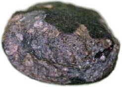 溶融表皮が着いたアエンデ隕石
